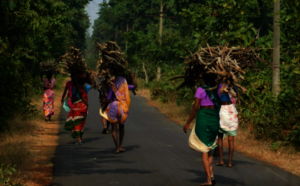 Women collecting wood from the forest