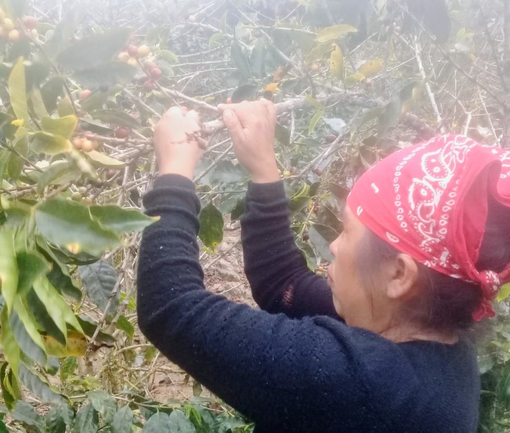 Bring Solar Power to a Maya Community in Guatemala
