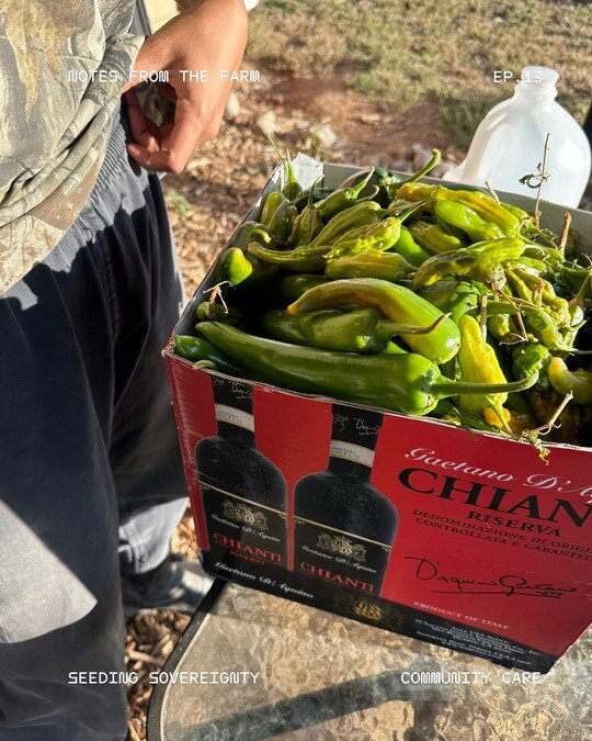 Fresh Food to Distribute