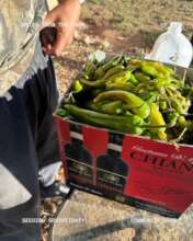 Fresh Food to Distribute