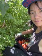 Harvesting Food Grown at the Farm