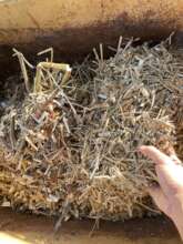 Composting