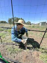 Planting Seedlings : )