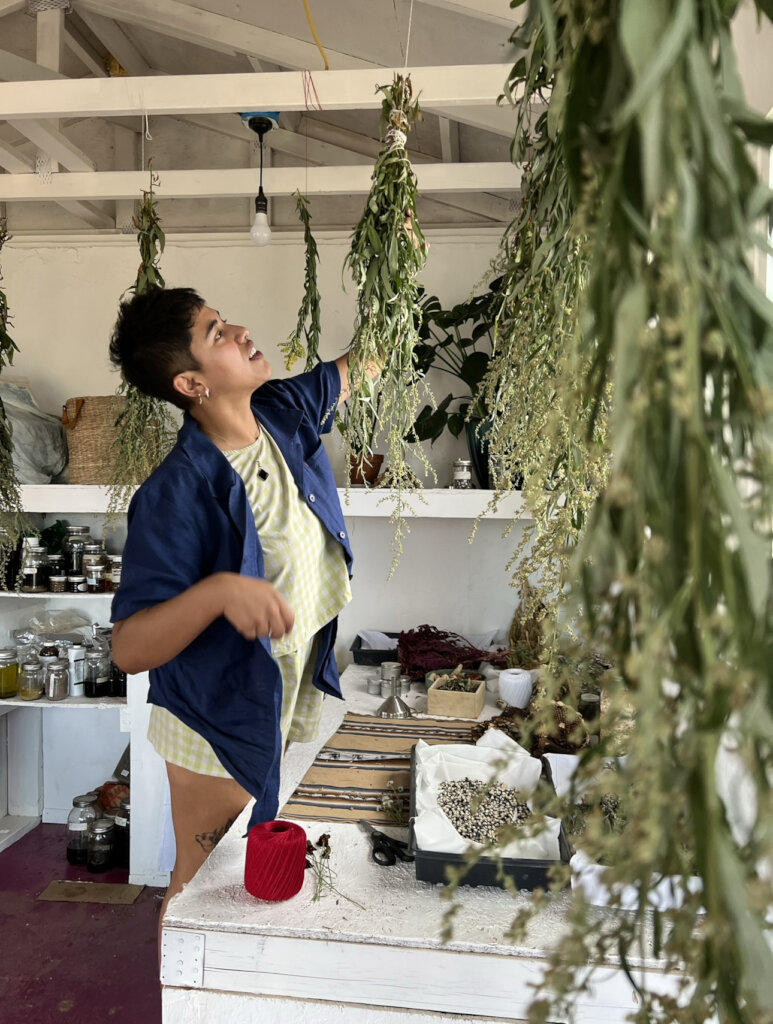Program Leader Drying Plants for Seed