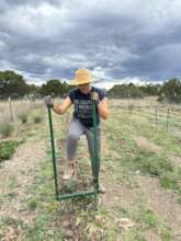 Program Leader Preparing Soil with Broadfork