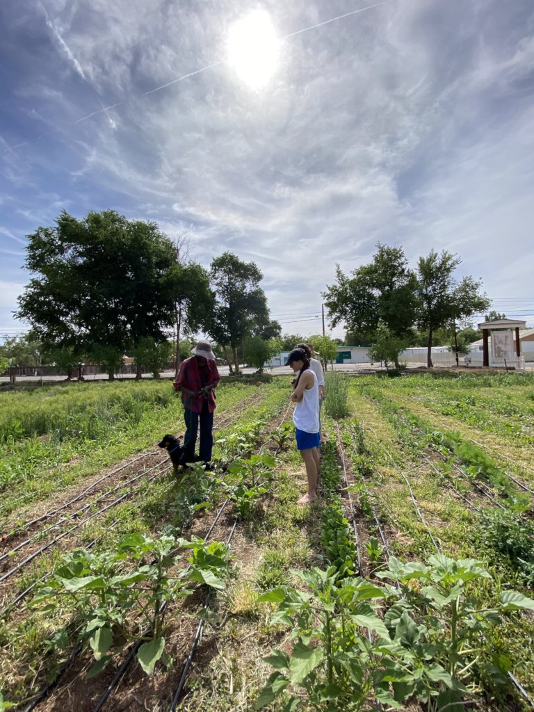 Support our Community Farm Fighting Food Scarcity