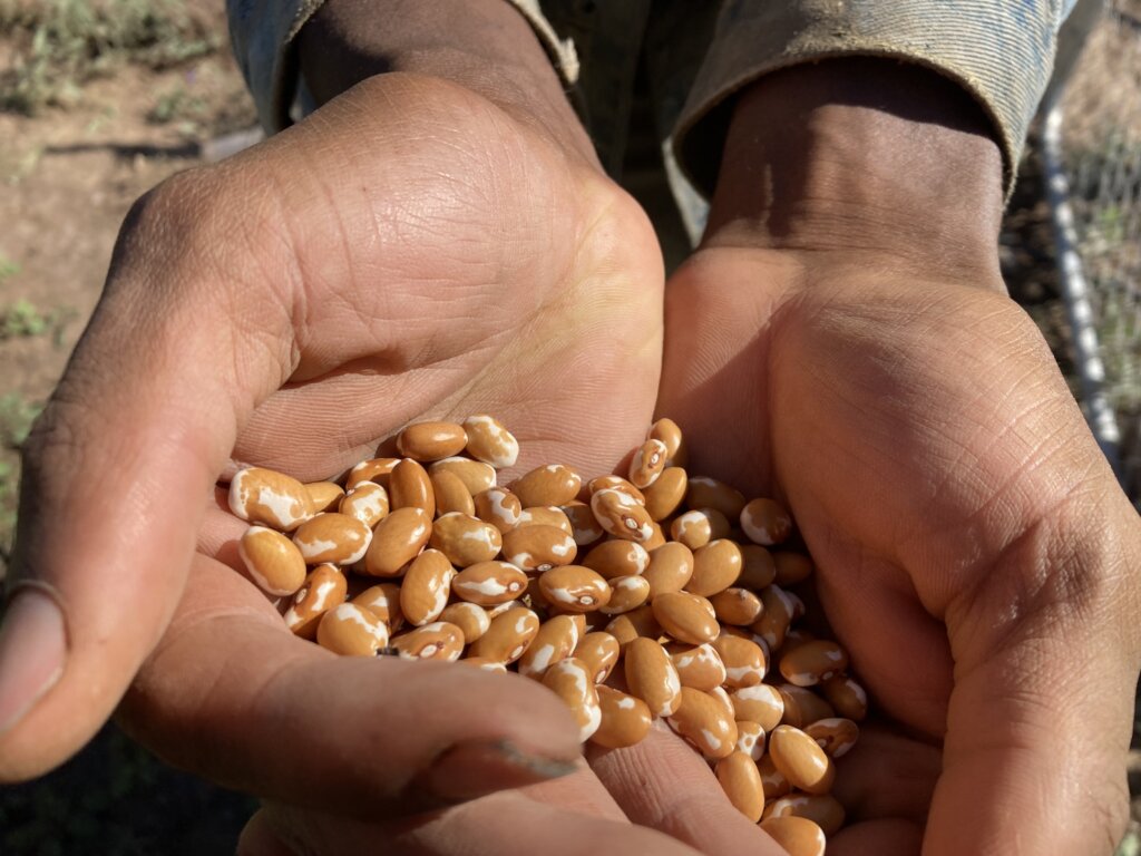 Support our Community Farm Fighting Food Scarcity