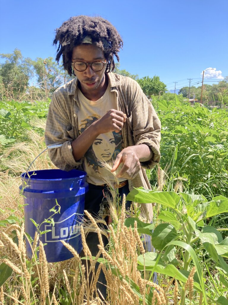 Support our Community Farm Fighting Food Scarcity