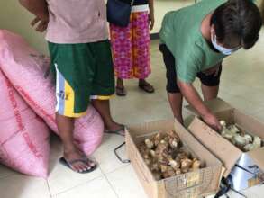 Small livelihood assistance