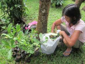 Expanding farm livelihoods
