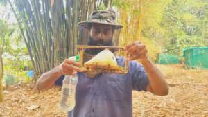 Removing eggs from the honeycomb