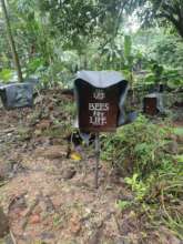 Box placed at our beneficiaries farmland