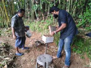 Routine checkup and colony feeding
