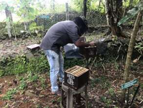 Dividing colonies at TIES Campus