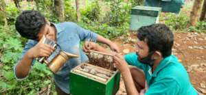 Michelle: The Fifth Generation Beekeeper