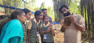 School students explore the life of honeybees