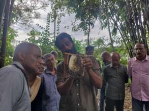 Empowering Communities with Beekeeping Skills