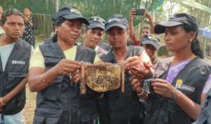 Participants handling honey bee colony