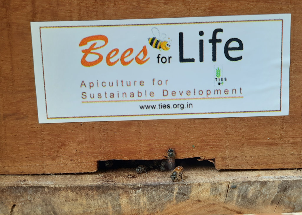 Bees for Life