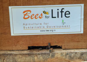 Bees for Life