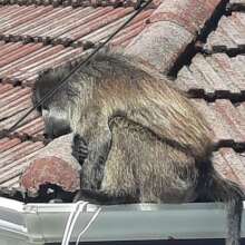 This ill male received treatment and returned home