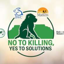 We partnered with key welfare and baboons groups