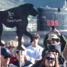 People do not want the baboons to be killed!