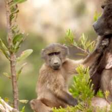Beautiful sighting on old mountain pass