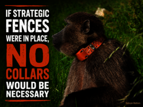 We advocate for ethical research