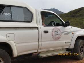 Brave SHARF team saved Lana-Charley from poachers