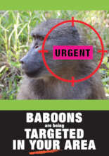 Responding to injuries this flyer will go to areas
