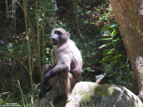 CT2 troop male - safe in a natural area