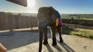 Fenya on the first day out in her new nursery