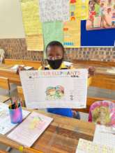 Mpisi Primary School save our elephants project.