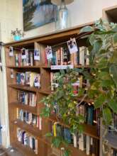 bookshelves