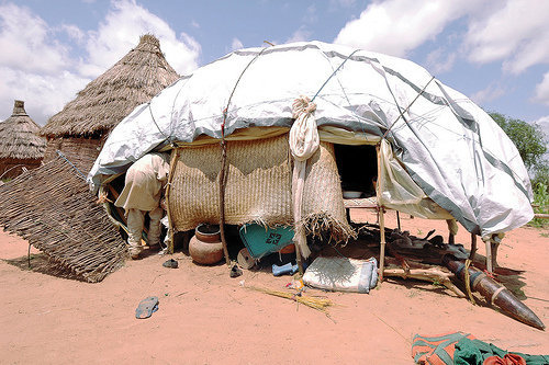 Saving Lives of 1000 Malnourished Children in Chad