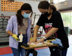 Student and mentor working together
