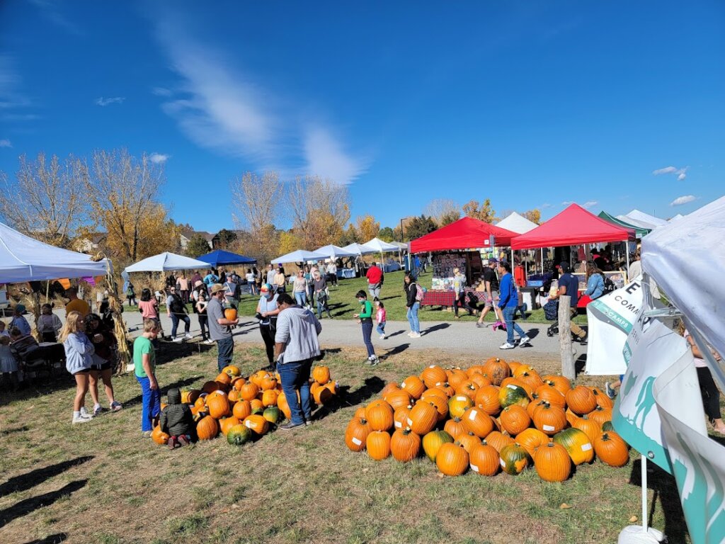 Pumpkins at Harvest Fest 2021