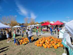 Pumpkins at Harvest Fest 2021