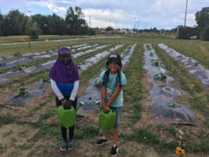 Girls watering pumpkins