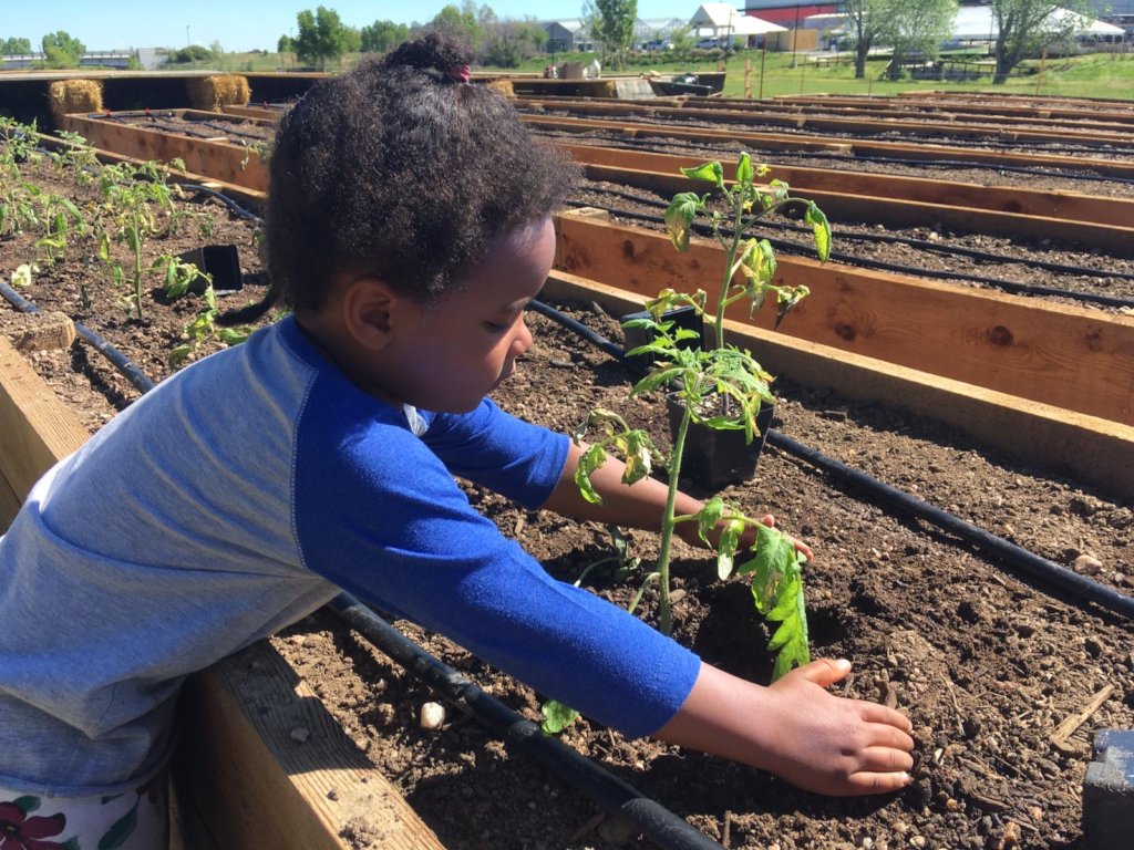 Immigrant & Refugee Food Security: Village Farm