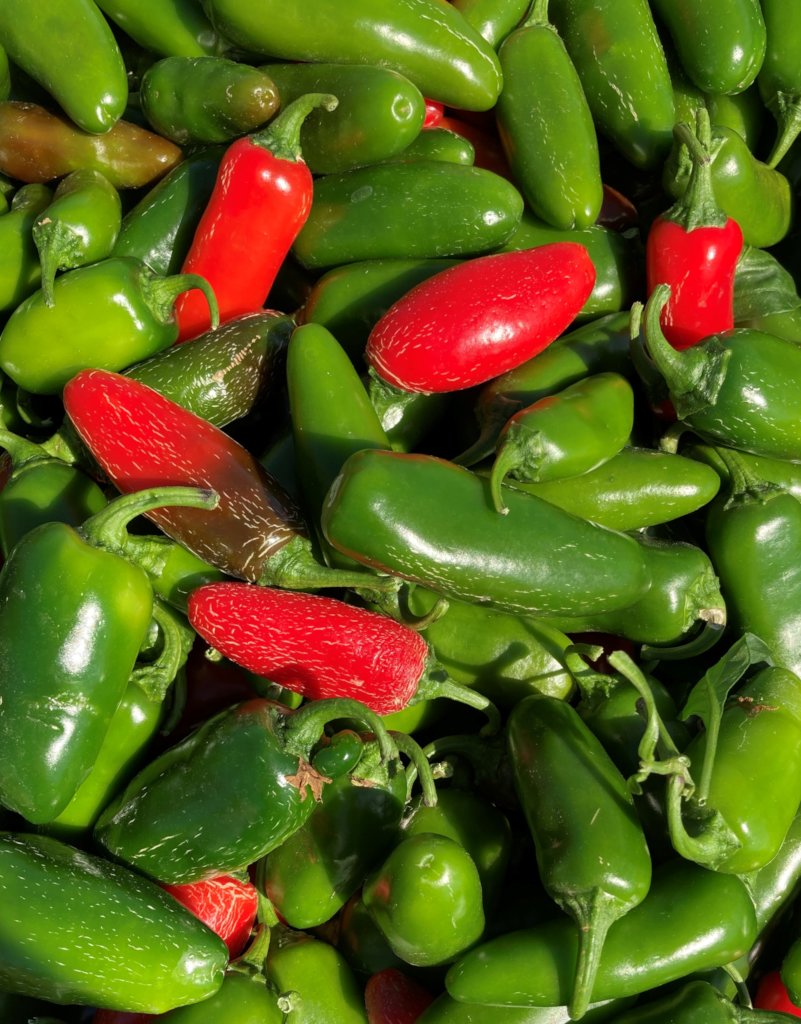 Immigrant & Refugee Food Security: Village Farm