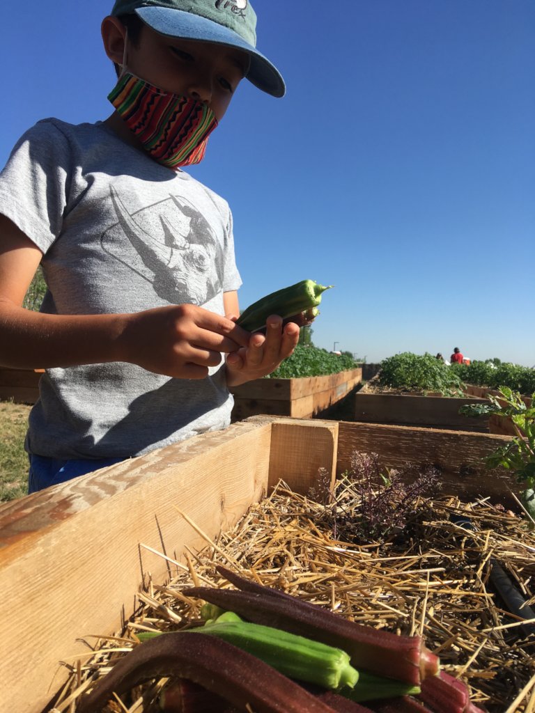 Immigrant & Refugee Food Security: Village Farm