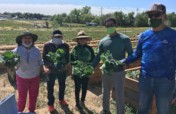 Immigrant & Refugee Food Security: Village Farm