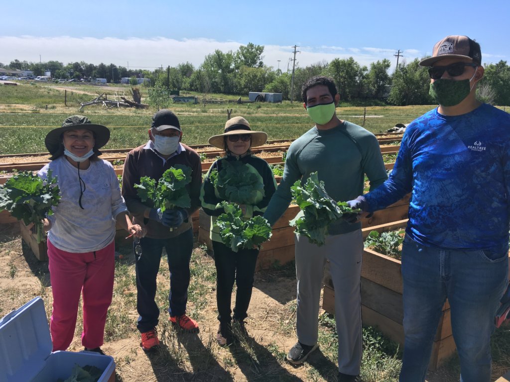 Immigrant & Refugee Food Security: Village Farm