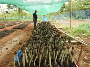 We are employing local people