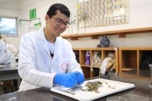 Marine Organism Analysis