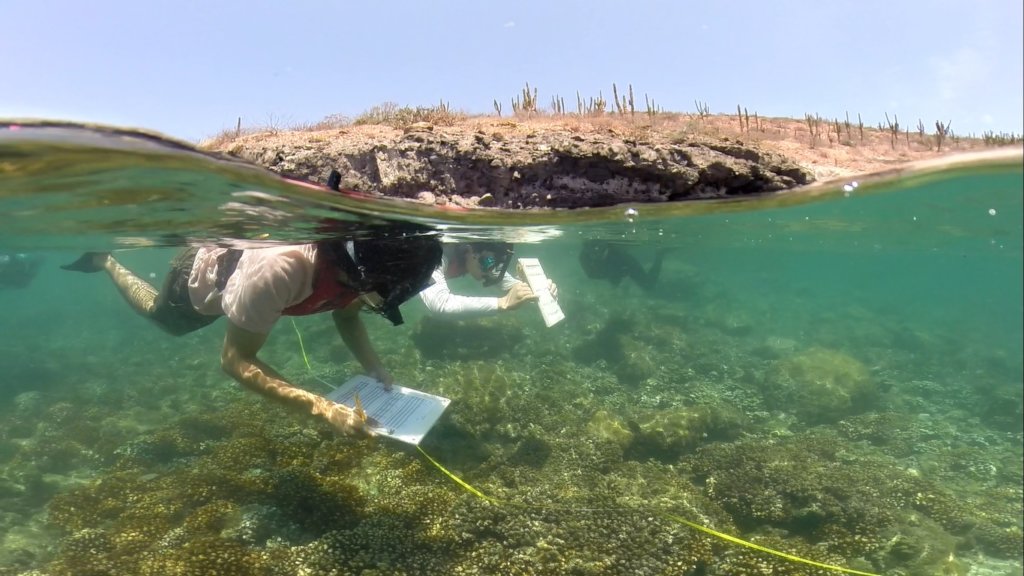 Support the future minds in Mexico