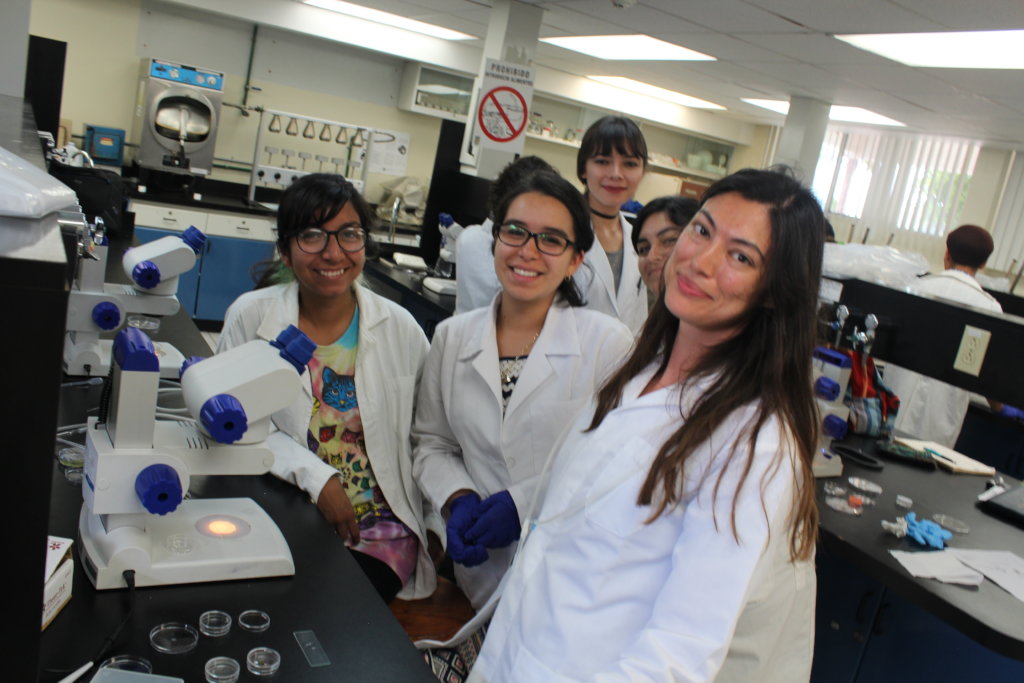 Support the future minds in Mexico