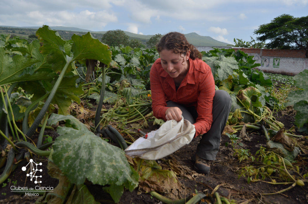 Support the future minds in Mexico